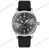 Super Clone IWC Titanium
