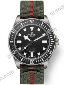 Super Clone Tudor Pelagos FXD Black 25717N 42mm Titanium –
