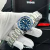 Super Clone Tudor 42mm Titanium — case and bezel