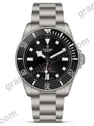 Super Clone Tudor 39mm Titanium