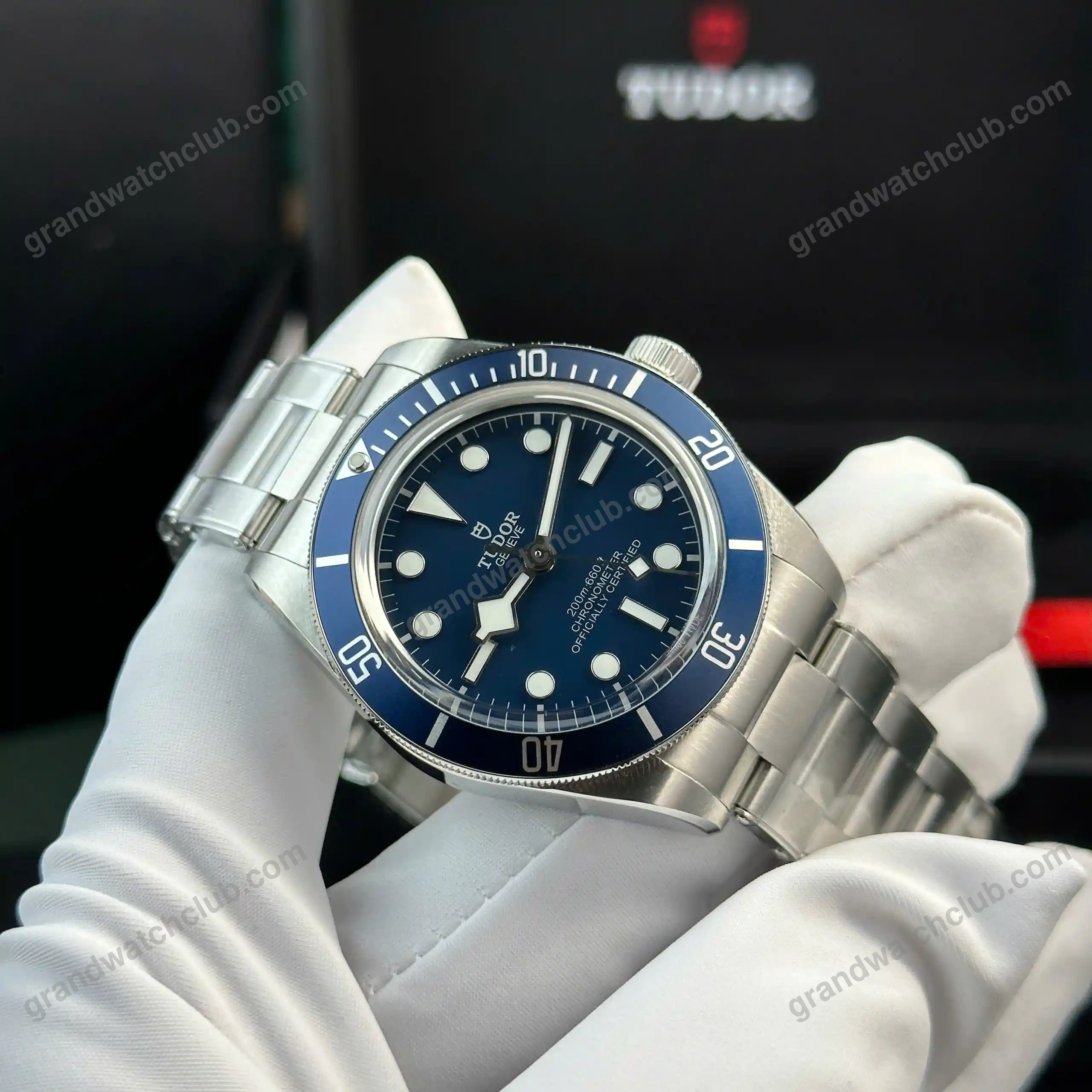 Super Clone Tudor 42mm Titanium — side profile