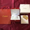 Super Clone Cartier Santos: The Original Pilot's Watch