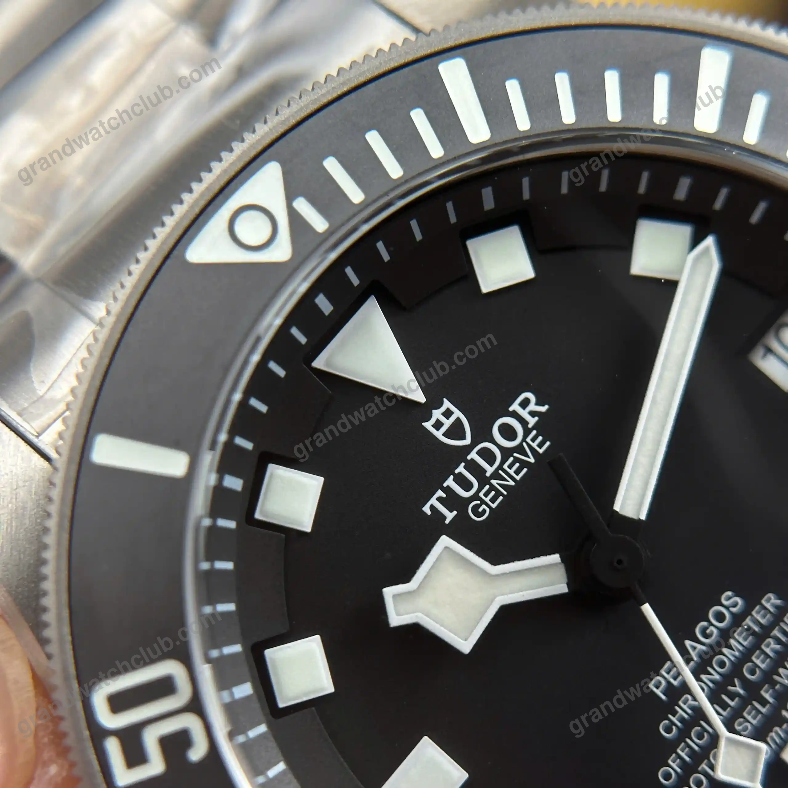 Super Clone Tudor 42mm Titanium — side profile